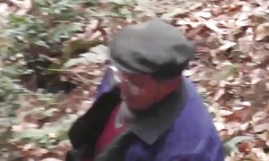 小便一点点吉他-系列金额平均为成年人的睡眠